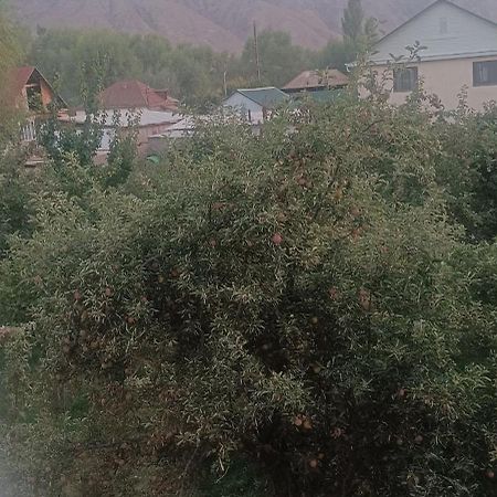 "Kamchybek Ata" Guest House B&B Tert-Kul' Екстериор снимка